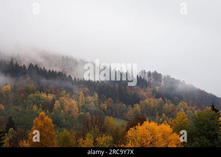 Nebel in den Bergen. Nebeliger Morgen im Herbstwald. Herbstsaison in der Natur Stockfoto