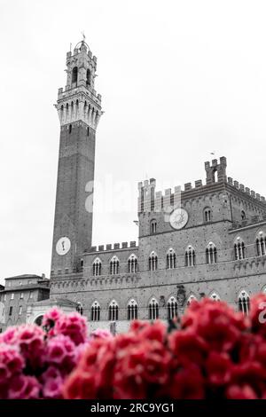 Der Palazzo Pubblico, Rathaus, ist ein Palast an der Piazza del Campo, dem zentralen Platz von Siena, Toskana, Italien. Stockfoto