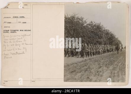 Deutsche Kriegsgefangene wurden 1918 in der Nähe des Belleau Woods in Frankreich während des Ersten Weltkriegs gefangen. Das Foto wurde von einem Fotografen des Signalkorps aufgenommen und zeigt die Gefangenen, die von amerikanischen Soldaten der 4. Brigade begleitet wurden. Stockfoto