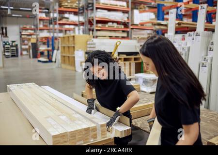 Multirassische Arbeitskollegen, die Bretter in der Holzindustrie anstellen Stockfoto