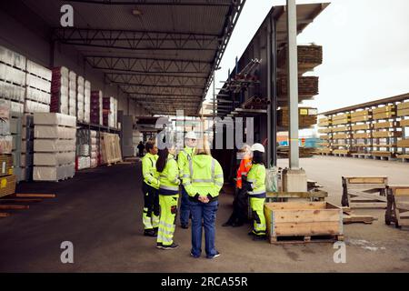 Ingenieurin, die mit Kollegen verschiedener Rassen in der Industrie diskutiert Stockfoto