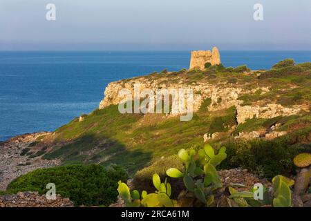 Uluzzo Tower, Nardò, Lecce, Apulien, Italien Stockfoto