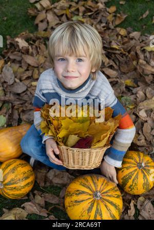 Am Herbsttag liegen Kürbisse auf trockenen Blättern im Hof. Unter ihnen sitzt ein süßer blonder Junge, 6-7 Jahre alt, der in den Rahmen schaut. Ernte, Vorbereitung auf Stockfoto