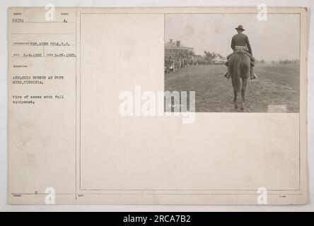 Ein Pferd, ausgestattet für Sportveranstaltungen in Fort Myer, Virginia während des 1. Weltkriegs Das Pferd wird mit kompletter Ausrüstung fotografiert, wie vom Fotografen Keen Polk am 26. Mai 1920 aufgenommen. Dieses Bild war Teil einer offiziellen Dokumentation amerikanischer Militäraktionen und wurde als offizielles US-Foto Nummer 9060701 herausgegeben. Stockfoto