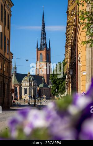 Ein Blick auf die Riddarholmen Kirche in Stockholm, Schweden an einem sonnigen Sommertag. Blumen sind im Vordergrund, der Kirchturm in der Ferne. Stockfoto