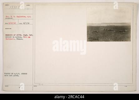 Mitglieder des 167. Regiments der Infanterie, einschließlich CPL. R.H. Ingleston, der als S.C. eingestuft wurde, wurde im Ersten Weltkrieg getötet. Dieses Foto wurde am 5. August 1918 in Pere en Tardenois, Frankreich, aufgenommen. Das Bild wurde von der Zensur der amerikanischen Expeditionstruppen geprüft und genehmigt. Stockfoto