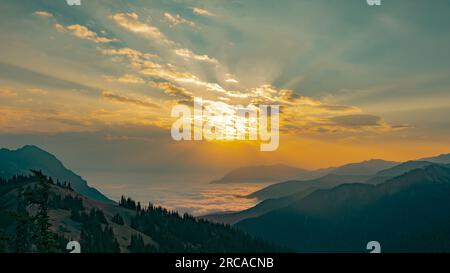 Sonnenaufgang über den Wolken am Hurricane Ridge | Olympic National Park, Washington, USA Stockfoto