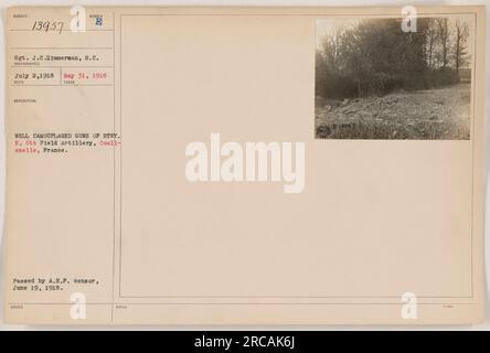 Bildunterschrift: 'Stgt. J.C. Zimmerman von Signal Corps hat dieses Foto am 31. Mai 1918 gemacht. Es zeigt gut getarnte Waffen von Battery E, 6. Field Artillery in Coull-emelle, Frankreich während des Ersten Weltkriegs. Das Bild wurde am 19. Juni 1918 vom A.E.F.-Zensor geprüft und genehmigt.“ Stockfoto