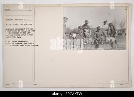 Signal Corps entlässt Tauben von Hampern im Central High School Stadium in Washington, D.C., während der Veranstaltungen im Zusammenhang mit der Präsentation von Medaillen und Pokalen an die Gewinner des Army National School Essay Contest. Foto aufgenommen am 5. Mai 1920, vom Fotografen Sergeant Hitz vom Signalkorps. (Bildunterschrift basierend auf bereitgestellten Informationen) Stockfoto