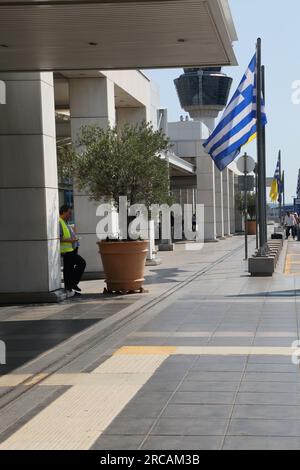 Athen Griechenland Internationaler Flughafen Athen (AIA) Eleftherios Venizelos Mann trägt Warnweste stehender Olivenbaum im Pot draußen Stockfoto