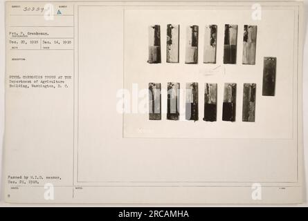 Soldat, der Stahlkorrosionstests im Landwirtschaftsministerium in Washington, D.C. durchführt Das Foto wurde am 14. Dezember 1918 aufgenommen und ging am 20. Dezember 1918 ein. Es wurde vom M.I.D.-Zensor überprüft und am 21. Dezember 1918 genehmigt. Stockfoto