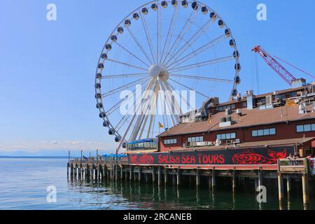 Seattle Great Wheel Riesenrad über Wasser mit dem Salish Sea Tours Schild am Pier 57 Elliott Bay Seattle Washington State USA gebaut Stockfoto