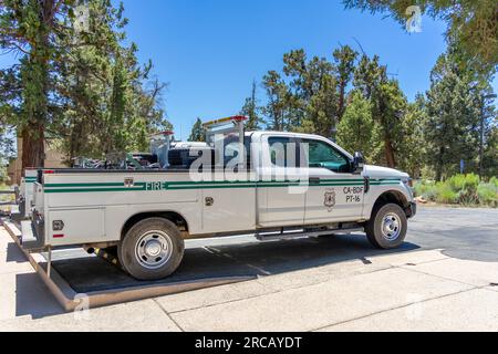 Big Bear Lake, Kalifornien, USA – 8. Juli 2023: Ein Pickup-Truck der US-Waldfeuerwehr, der im San Bernardino National Forest in Kalifornien geparkt ist. Stockfoto