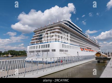 ANTWERPEN, BELGIEN - 10. JULI 2023: Kreuzfahrtschiff Oceania Riviera im Hafen von Antwerpen, Belgien. Stockfoto