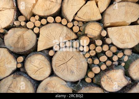 Groß und klein gestapelt, gehacktes und rundes Feuerholz in einem Stapel. Nahaufnahme eines Holzstapels aus Feuerholz, vorbereitet für einen kalten Winter. Natürlicher fester Brennstoff Stockfoto