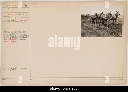 Mitglieder der 51. Infanteriebrigade, die zur 26. Division gehören, sind auf diesem Foto zu sehen. Aufgenommen am 3. Juni 1918, in der Nähe von Ansauville, Frankreich, werden die Soldaten gesehen, wie sie Boden für Gärten direkt hinter den Linien anbauen. Stockfoto