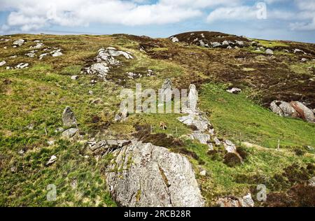 Callanischer VIII. Prähistorischer, jungsteinzeitlicher Steinkreis. Isle of Lewis, Äußere Hebriden. Halbkreisförmige Megalitheinstellung am Klippenrand. Die Luft blickt nach Norden Stockfoto