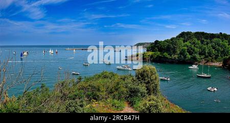 GB - DEVON: Wunderschönes Churston Cove in der Nähe von Brixham von Edmund Nagele FRPS Stockfoto