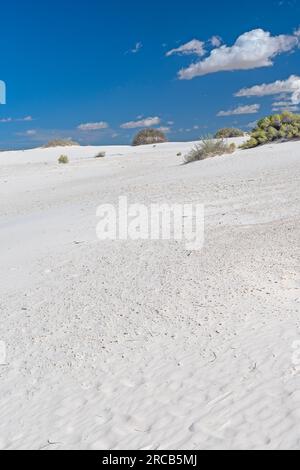 Unberührter weißer Sand an einem sonnigen Tag im White Sands National Park in New Mexico Stockfoto
