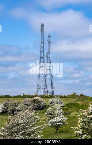 Sendemasten auf den North Downs in Reigate Hill Surrey, Dover, England, Großbritannien Stockfoto