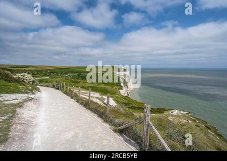 Fußweg entlang der Kreidefelsen von Dover, Kent, English Channel, England, Großbritannien Stockfoto