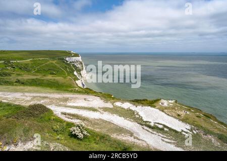 Fußweg entlang der Kreidefelsen von Dover, Kent, English Channel, England, Großbritannien Stockfoto