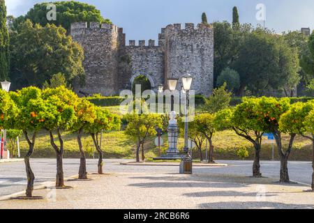 Burg von Vila Vicosa, Vila Vicosa, Evora-Viertel, Alentejo, Portugal Stockfoto