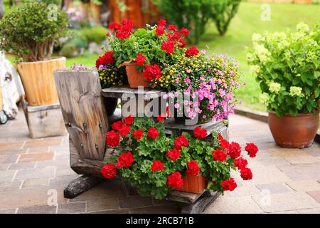 Verschiedene Topfblumen, Kräuter, Gartengeräte auf grünem Gartenbaum-Hintergrund. Hobbykonzept mit Pflanzen Stockfoto