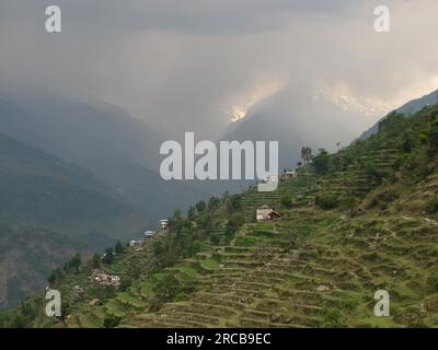 Terrassenfelder in Landruk, Annapurna Conservation Area Stockfoto