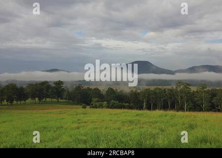 Herbstmorgen bei Wauchope. New South Wales, Australien. Ländliche Landschaft und Morgennebel Stockfoto