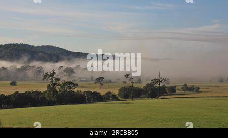 Herbstszene in der Nähe von Wauchope, New South Wales. Morgennebel über ländlicher Landschaft Stockfoto