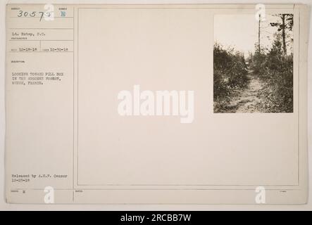 Soldaten, die im Argonne-Wald in Maas stationiert sind, beobachten und zielen auf eine Pillbox. Dieses Foto wurde am 30. Oktober 1918 von LT. Estep aufgenommen und von der A.E.F. veröffentlicht Zensor am 23. Dezember 1918. Stockfoto