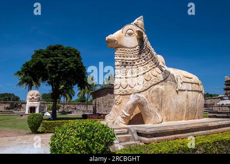 Statue des Nandi-Stiers im 11. Jahrhundert Arulmigu Peruvudaiyar Brihadisvara-Tempel in Gangaikonda Cholapuram in der Nähe von Jayankondam Tamil Nadu, Südindien Stockfoto