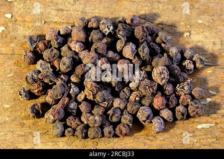 Schisandra, Beere, Chinesische Spaltbeere, Obst mit fünf Geschmacksrichtungen, Obst mit fünf Geschmacksrichtungen, Schisandra chinensis (Schisandra chinensis), Chinesische Beere Stockfoto
