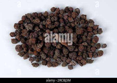 Schisandra, Beere, Chinesische Spaltbeere, Obst mit fünf Geschmacksrichtungen, Obst mit fünf Geschmacksrichtungen, Schisandra chinensis (Schisandra chinensis), Chinesische Beere Stockfoto