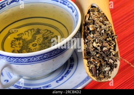 Tasse Cablin Patchouli Kräutertee (Pogostemonis Herba) Stockfoto