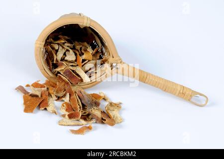 Mandarinenschale (Citri reticulatae Pericarpium), ausgeschnitten, Gegenstand Stockfoto