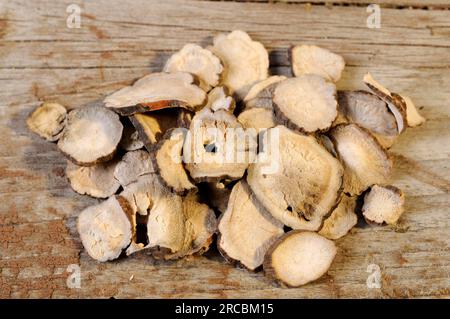 Rote Pfirsichwurzel (Paeoniae radix Rubra) Stockfoto