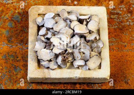 Rote Pfirsichwurzel (Paeoniae radix Rubra) Stockfoto