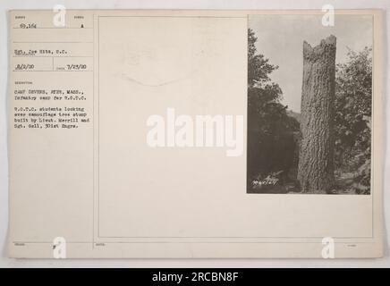 R.O.T.C. Studenten beobachten einen getarnten Baumstumpf im Camp Devens in Ayer, Massachusetts. Der Stumpf wurde von Lieut gebaut. Merrill und Sergeant Goll von den 301. Ingenieuren. Das Foto wurde von Sergeant Joe Hits am 2. August 1920 aufgenommen. Es wurde mit dem Symbol „AUSGABE A“ klassifiziert und am 23. Juli 1920 aufgezeichnet. Stockfoto