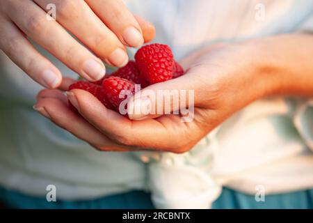 Eine Frau hält in ihren Händen eine sehr große reife Himbeere Stockfoto