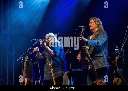 Hundeshow-Sessions, Handvorstellung und Track Dogs, die live auf der Bühne des GTSF-Musikfestivals 2023 in Southwell, Nottinghamshire, gespielt werden. Stockfoto