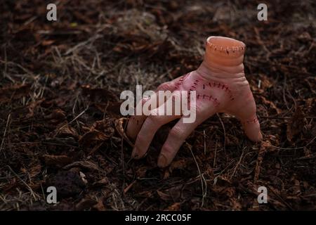 Realistische menschliche Hand oder ein Ding mit Narben und Stichen. Mittwoch-Addams-Filmkonzept. Stockfoto