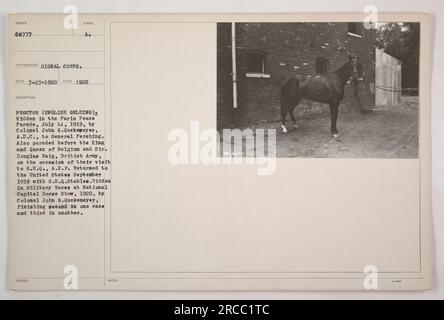 Proctor, ein englischer Wallach, wurde am 14. Juli 1919 von Colonel John G. Quekemeyer auf der Parade des Pariser Friedens geritten. Er wurde auch vor dem König und der Königin von Belgien und Sir Douglas Haig während ihres Besuchs im G.H.Q, A.E.F. vorgeführt Proctor kehrte im September 1919 in die Vereinigten Staaten zurück, mit G.H.Q. Stallungen. 1920 nahm er an Militärrennen bei der National Capital Horse Show Teil und belegte in einem Rennen den zweiten und in einem anderen den dritten Platz. Stockfoto