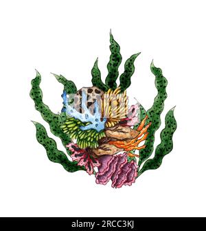 Aquarelle Darstellung von grünen Meeresalgen und bunten Korallen. Flora von Wasserpflanzen. Aquarienpflanzen, Unterwasserpflanzen. Isoliert auf weißem Ba Stockfoto