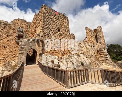 Ajloun, Jordanien (defensives Fort) eine alte historische Burg - antikes Schloss Ajloun (islamisch-arabische Geschichte im Nahen Osten) Stockfoto