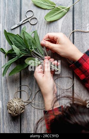 Salbeiblätter in den Händen bündeln, Kräuter zum Trocknen vorbereiten, Hanfstränge aus Holz, Blick von oben Stockfoto