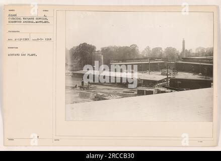 Männer, die in der Senfgasfabrik im Edgewood Arsenal in Maryland arbeiten. Diese Anlage wurde während des Ersten Weltkriegs vom Chemical Warfare Service betrieben. Das Foto wurde am 5. August 1918 aufgenommen und zeigt den Lagerbereich des Werks. Stockfoto