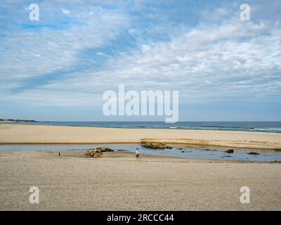 Man sieht eine Frau, die an einem einsamen Strand spaziert. Die Küstenstraße des portugiesischen Camino ist eine schöne Alternative zu Fuß zur Central Route. Die Gesamtstrecke beträgt 280 km Sie beginnt in Porto und folgt der Küste bis Redondela in Spanien, wo sie mit der Central Route verschmolzen wird. Etwa 30 % der Pilger, die den portugiesischen Camino vollenden, gehen entlang der Küstenstraße. Der portugiesische Camino wird immer beliebter, und viele Pilger wählen diese Route als Alternative zu den Camino Frances. Die Küstenstraße des portugiesischen Camino ist eine schöne Alternative zu Fuß zur Central Route. Die Stockfoto