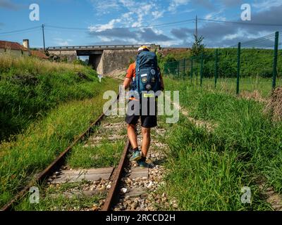 17. Juni 2023, Branca, Portugal: Ein Pilger wird in der Nähe einer Eisenbahnstrecke gesehen. Die Küstenstraße des portugiesischen Camino ist eine schöne Alternative zu Fuß zur Central Route. Die Gesamtstrecke beträgt 280 km Sie beginnt in Porto und folgt der Küste bis Redondela in Spanien, wo sie mit der Central Route verschmolzen wird. Etwa 30 % der Pilger, die den portugiesischen Camino vollenden, gehen entlang der Küstenstraße. Der portugiesische Camino wird immer beliebter, und viele Pilger wählen diese Route als Alternative zu den Camino Frances. Die Küstenstraße des portugiesischen Camino ist wunderschön Stockfoto